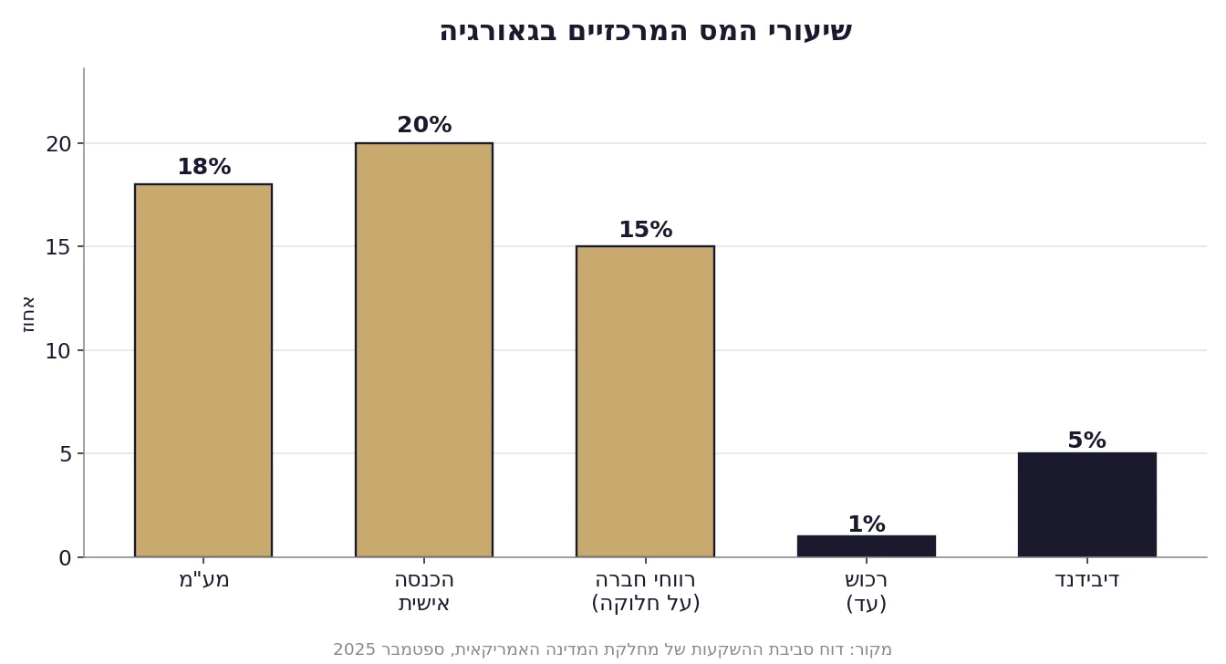 בדיקת חברת נדל"ן בגאורגיה - שיעורי המס המרכזיים במדינה